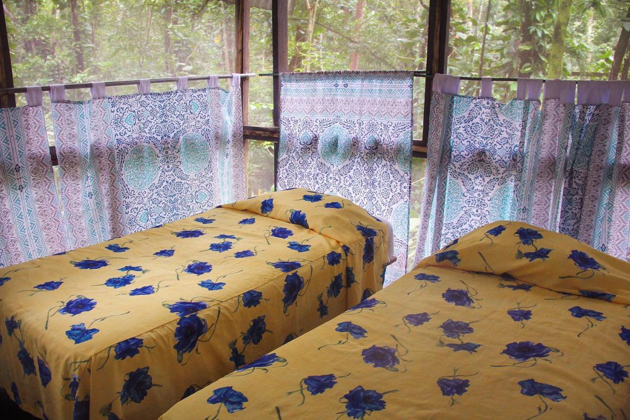 Chatos Cabanas El Panchan Palenque Esterno foto